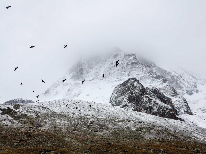 sudoku game online screenshot 5